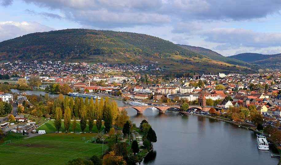 Aussicht auf Bürgstadter Berg