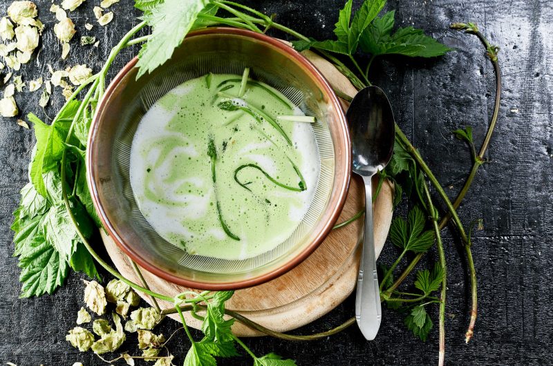 HOPFEN AUS DER HALLERTAU G.G.A. Suppe vom Hopfen aus der Hallertau