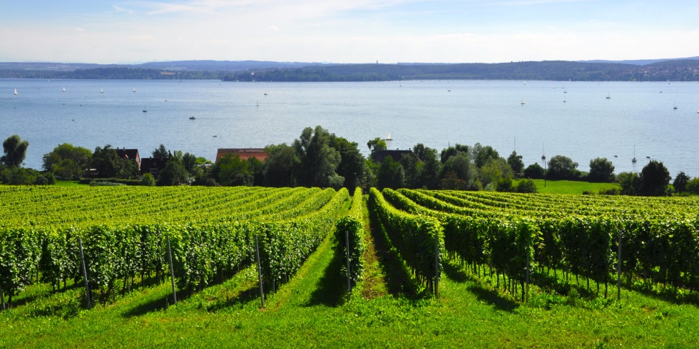 Bayerischer Bodensee Landwein