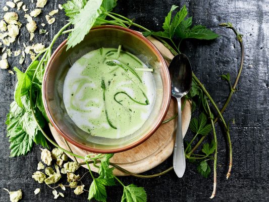 HOPFEN AUS DER HALLERTAU G.G.A. Suppe vom Hopfen aus der Hallertau